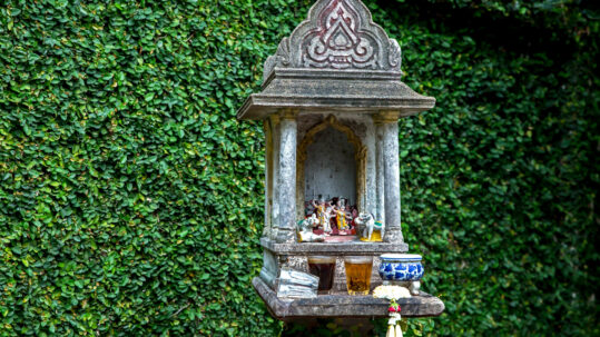 thai spirit house with ficus pumila background